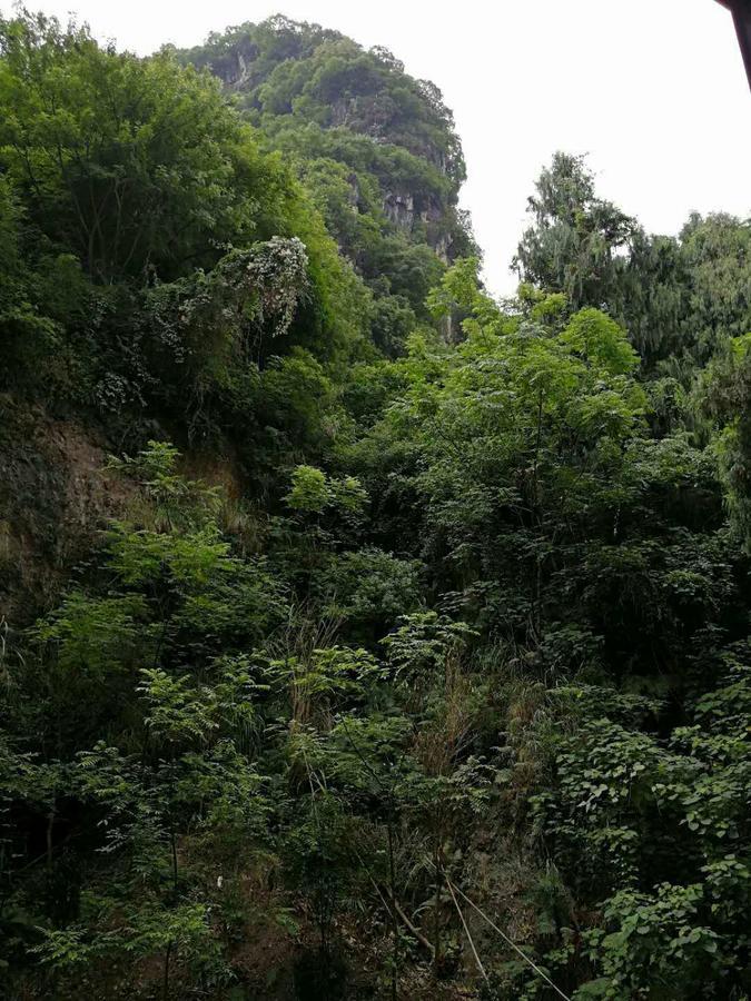 Shan Ju Ge Hotel Yangshuo Exterior foto